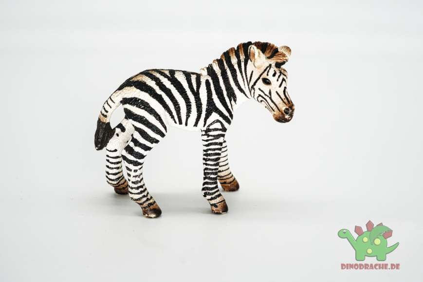 Schleich Zebra Fohlen 14393